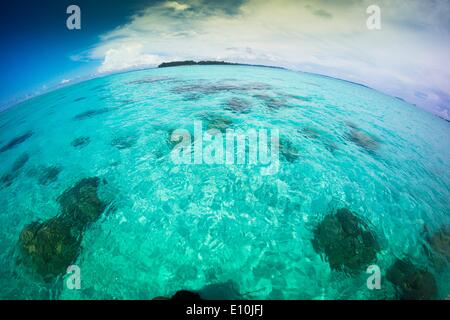 Isole Palau, Palau Micronesia - Aprile 2014 Foto Stock