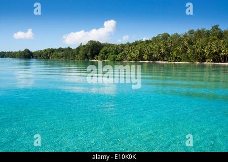 Isole Palau, Palau Micronesia - Aprile 2014 Foto Stock