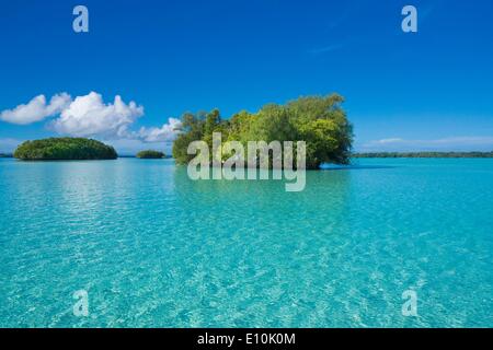 Isole Palau, Palau Micronesia - Aprile 2014 Foto Stock