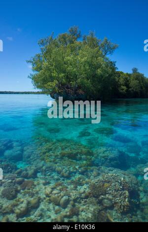 Isole Palau, Palau Micronesia - Aprile 2014 Foto Stock