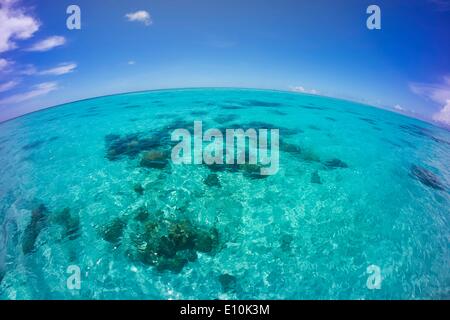 Isole Palau, Palau Micronesia - Aprile 2014 Foto Stock
