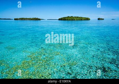 Isole Palau, Palau Micronesia - Aprile 2014 Foto Stock