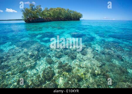 Isole Palau, Palau Micronesia - Aprile 2014 Foto Stock