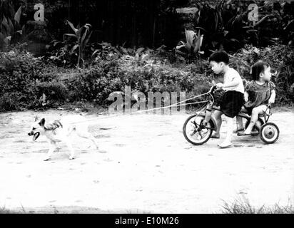 Ragazzi cinesi hanno cane tirare di triciclo Foto Stock