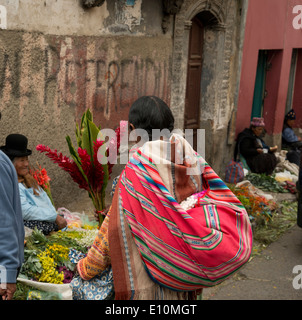 Donna boliviana o Cholita, con una fionda in un mercato dei fiori a La Paz, in Bolivia. Foto Stock