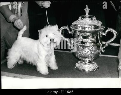 Febbraio 02, 1976 - Un Oriente Highland Terrier vince il Crufts - Un West Highland Terrier con il nome di Bertie pulsanti perché ieri il campione del Supremo al Crufts Dog Show. Egli è posseduto dalla signora Dorothy Taylor e la signora Kathleen Newstead che hanno ricevuto offerte da tutto il mondo di molte migliaia di sterline per il cane. tutti che sono stati rivolti verso il basso. Mostra fotografica di:- campione del supremo, Campione Dianthus pulsante, visto con il suo trofeo dopo ieri a giudicare. Foto Stock