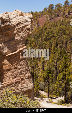 Il Paisaje Lunar, o paesaggio lunare zona vicino a Vilaflor, Tenerife, Isole Canarie, Spagna. Foto Stock