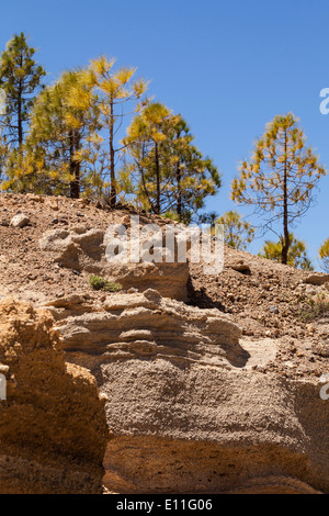 Il Paisaje Lunar, o paesaggio lunare zona vicino a Vilaflor, Tenerife, Isole Canarie, Spagna. Foto Stock