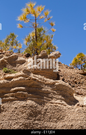 Il Paisaje Lunar, o paesaggio lunare zona vicino a Vilaflor, Tenerife, Isole Canarie, Spagna. Foto Stock