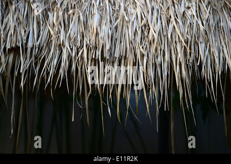 tetto di paglia Foto Stock