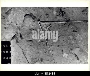 Sett. 11, 1985 - bottiglie di vino, principalmente il francese Bordeaux, la lettiera il fondo dell'Oceano Atlantico nei pressi dei resti del luxury liner Titanic, più di 12.000 piedi sotto la superficie. Questa fotografia scattata da telecamere montate su Angus, una slitta trainata manovrato da operatori sulla nave di ricerca Knorr, dimostra la straordinaria chiarezza possibile attraverso l'uso di alta tecnologia Apparecchiature oceanografiche di moderne pellicole ad alta velocità. Credito: Consolidated News Foto Foto Stock