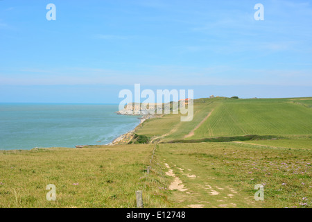 Le scogliere di Cap Gris Nez, Cote opale, Nord Pas de Calais, Francia Foto Stock