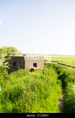 Tipo 22 scatola di pillole esagonale, Frieston Shore batteria, Lincolnshire, Inghilterra. Foto Stock