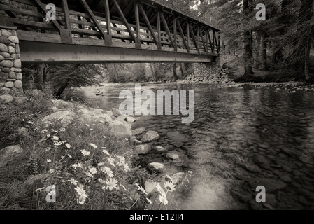 Covered footbridge and daisy flowers with Gore Creek. Gerald ford Park. Vail, Colorado Foto Stock