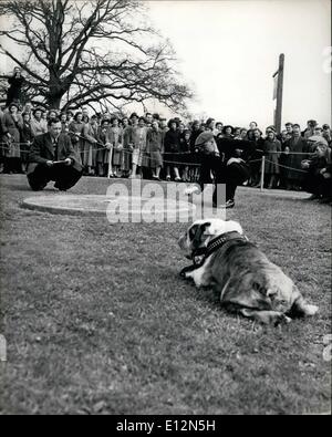 24 febbraio 2012 - Winston è un critico: Uno degli spettatori più abili del campionato è Winston, la mascotte dei bulldog. Si mantiene a distanza mentre si gioca è in corso, un colpo cattivo porterà un   da lui. I 'Toliey Men' di Tinsley Green.: Ancora una volta il campione di marmo parte allenarsi duramente per il Campionato Nazionale annuale che si disputerà il Venerdì Santo a Tinsley Green sul confine Surrey-Sussex. Marmi è uno degli sport più antichi del mondo. Fu suonata dall'imperatore romano Augusto Foto Stock