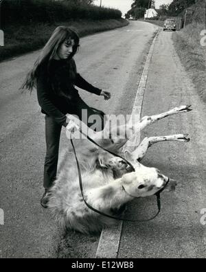 Febbraio 26, 2012 - Julie giostre per il millage -da llama. Trottare lungo le corsie di Malton, Yorkshire sul suo monte, 15 enne Joule cucinare generalmente provoca piuttosto agitare per lei è montato, non su un cavallo, ma su un llama Julie il padre ha acquistato la libertà , La llama per 50 dalle vicinanze del Flamingo Park Zoo come un pet - e promette a lui di Julie se lei può frenare la sua in Foto Stock