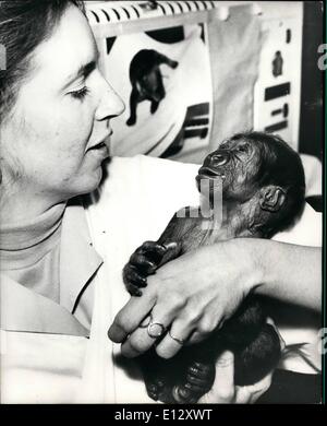 Febbraio 25, 2012 - Celebrato nuovo arrivo presso lo zoo di Los Angeles. La nascita di un bambino pianura gorilla è celebrato a lo zoo di Los Angeles in California, come un avvenimento di grande rilevanza. Prima di essere nato a che lo zoo, il gorilla - una specie minacciata di estinzione - è stata sollevata in bambini vivaio dove è alimentato una formula di latte ogni 2 ore e mezza. Sia la madre e il figlio sono detto di essere bene. La foto mostra il custode dello zoo Claudia Collier detiene il celebre nuovo arrivo. Foto Stock