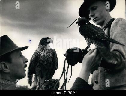 Febbraio 26, 2012 - La caccia con i falchi: lo sport della caccia con i falchi è molto antica. È diventato popolare circa seimila anni fa. Esso ha avuto origine in India. Questo sport è stata diffusa nella Roma antica. In epoca medievale divenne lo sport dei re e della nobiltà. Anche nel tempo presente è seguita in tutto il mondo dai ricchi e classi di moda. La foto mostra due falchi addestrati alla caccia per i conigli vengono preparati per il gruppo di suoneria. Credito: Harwood International Photo Service Foto Stock