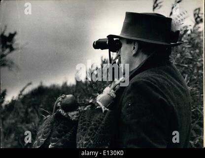 Febbraio 26, 2012 - La caccia con i falchi: lo sport della caccia con i falchi è molto antica. È diventato popolare circa 6.000 anni fa. Esso ha avuto origine in India. Questo sport è stata diffusa nella Roma antica. In epoca medievale divenne lo sport dei re e della nobiltà. Anche nel tempo presente è seguita in tutto il mondo dai ricchi e classi di moda. La foto mostra come nascondere in folliage il cacciatore mantiene i falchi sul suo pugno mentre attende la sua preda. Credito: Harwood International Photo Service Foto Stock