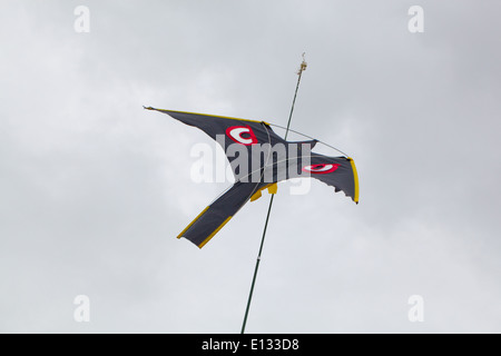 Bird spaventando Kite, con molto sottolineato gli occhi, utilizzato per agire come un dispositivo a spaventare su colture di piselli. Ingham. Norfolk. Foto Stock