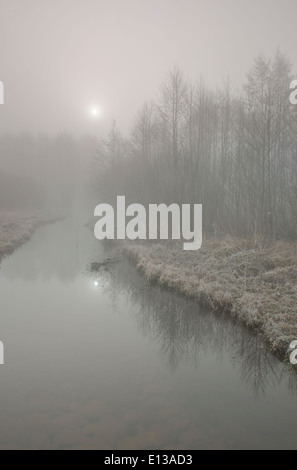 Mattinata nebbiosa, regione Mazovia, Polonia Foto Stock