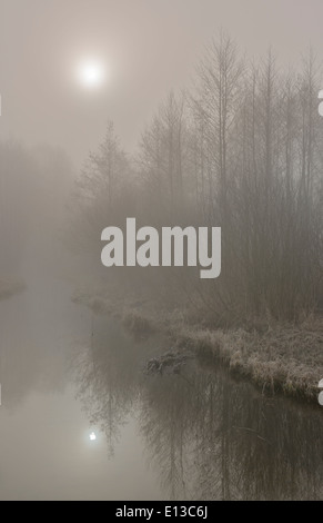 Mattinata nebbiosa, regione Mazovia, Polonia Foto Stock