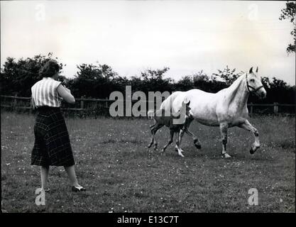 Mar 02, 2012 - Pat Symthe studi la forma e prende una Snap: Early visitatore al suo celebre ponticello Tosca era Pat Smythe venuto armato di macchina fotografica per scattare il nuovo puledro, insieme la madre e la figlia pone splendidamente nel campo dell'allevamento. Foto Stock