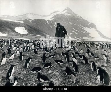 Mar 02, 2012 - Lone uomo tra 160.000 Penguin extra: un uomo solitario vive solo in Antartide la sua unica azienda... 160.000 i pinguini. Questo è il tema di un nuovo film che vengono fatti attualmente chiamato ''Forbush ed i pinguini''. Per catturare il realismo della situazione attore John Hurt in realtà spende settimane tra l'Adelie pinguini a una colonia a Esperanza nella speranza congelato Bay. La storia narra di un pavone orgoglioso di Londra di un uomo che si è parlato di fare uno studio scientifico in Antartide da se stesso Foto Stock