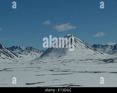 Nel maggio 2013, un'indagine sui rapaci è stata condotta nei monti Kilbuck del Yukon Delta National Wildlife Refuge utilizzando un elicottero per monitorare le popolazioni di uccelli, compresi gufi e altri rapaci. Foto Stock