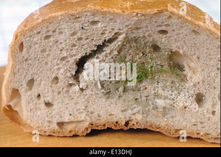 pane ammuffito Foto Stock