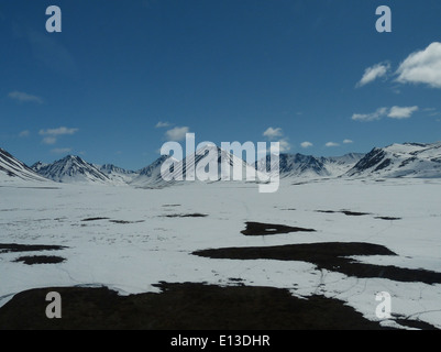 Le Kilbuck Mountains, situate all'interno del Yukon Delta National Wildlife Refuge, sono state esaminate nel maggio 2013 per rapaci. È stata condotta un'indagine in elicottero per monitorare le popolazioni della fauna selvatica e raccogliere dati per gli sforzi di conservazione. Foto Stock