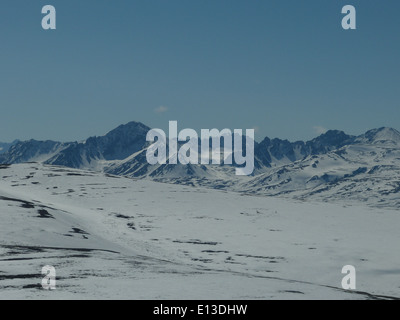 Nel maggio 2013, un'indagine sui rapaci condotta nelle Kilbuck Mountains del Yukon Delta National Wildlife Refuge ha trovato una serie di rapaci, compresi i gufi, come parte dei continui sforzi di conservazione. Foto Stock