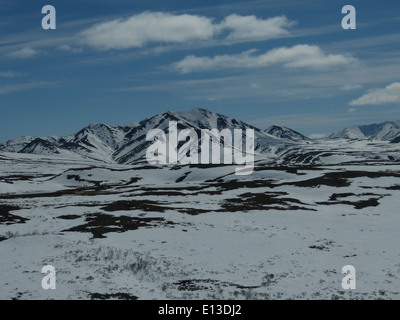 Un'indagine sui rapaci nelle montagne Kilbuck del Yukon Delta National Wildlife Refuge nel maggio 2013, utilizzando elicotteri per la ricerca sul campo sulle popolazioni di rapaci e sui modelli migratori. Foto Stock