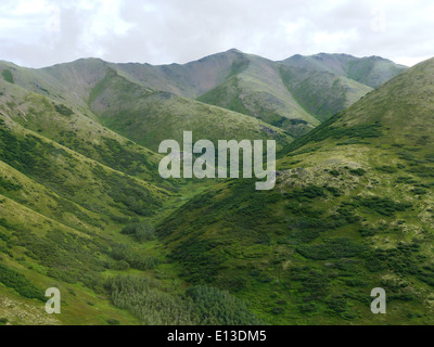 Le Kilbuck Mountains, parte del Yukon Delta National Wildlife Refuge, ospitano varie specie di rapaci. Le indagini aeree che utilizzano elicotteri monitorano le loro popolazioni e i loro habitat, aiutando gli sforzi di conservazione per questi rapaci. Foto Stock
