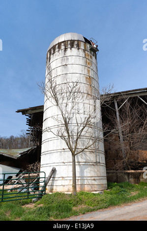 Vecchio silo in una fattoria vicino a McGaheysville, Virginia, Stati Uniti d'America. Foto Stock