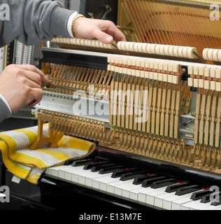 Repairman la riparazione di un pianoforte Foto Stock