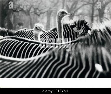 27 mar 2012 - Uno studio in bianco e nero. Questo premio - immagine vincente, preso al Zoo di Wilhelma a Stuttgart, Germania ovest Foto Stock