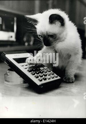 Mar 31, 2012 - Il gattino sulla : Immagine mostra: ''BOBO'' il gattino decide di fare uso della calcolatrice per lavorare fuori il suo Foto Stock