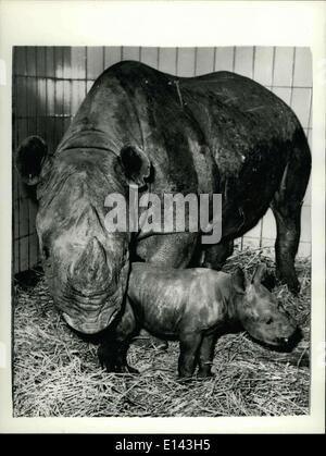 Mar 31, 2012 - ''Il regalo di Natale'' all'allo zoo di Francoforte.Un bambino rhino..Uno dei più popolari nuovi arrivi al allo Zoo di Francoforte - è un bambino del rinoceronte - nato alla vigilia di Natale di Catherina.. I rinoceronti nati in cattività sono molto molto rara - e questo nuovo arrivo è creduto per essere la prima mai nato in un zoo europei.. Sia la madre e il bambino sono 'fare bene'.. Mostra fotografica di Catherina - con la sua tre giorni di età bambino - al lo Zoo di Francoforte. Foto Stock