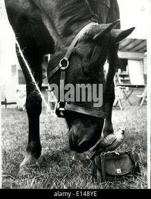 Apr. 17, 2012 - non voglio sentire un cigolio fuori di voi: Ora semplicemente seduti lì tranquillamente e non voglio sentire un cigolio fuori di voi dice il cavallo ''No si rammarica dell'' a Stanley, il blu fronteggiata Amazon parrot. Essi sono i migliori di amici e andare dappertutto insieme ed entrambe appartengono alla sig.ra V. Urquhart e sua figlia, Catriona, di Godalming. Foto Stock