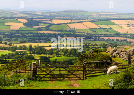 Guardando oltre cinque bar porta sul Shropshire modo da marrone Clee Hill a Corvedale. Foto Stock