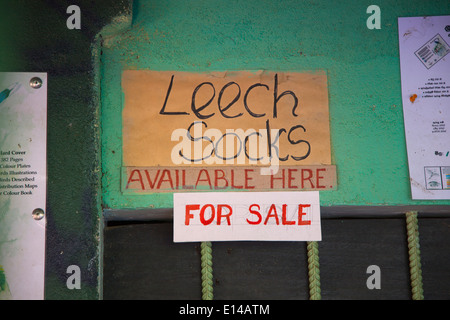 Leech calze in vendita presso Game Lodge in Sinharaga riserva forestale in Sri Lanka Foto Stock