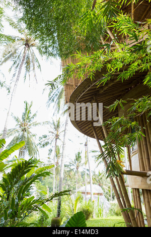 Treehouse nel giardino tropicale Foto Stock