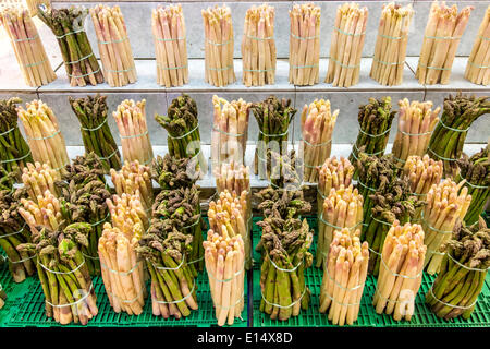 Asparagi, in un mercato in stallo, Francia Foto Stock