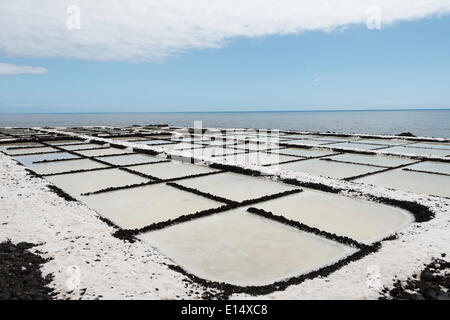 Salinas Teneguía sale stagni di evaporazione, sul sud del promontorio di Punta de Fuencaliente, La Palma Isole Canarie Spagna Foto Stock