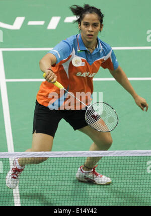 New Delhi. 21 Maggio, 2014. India di Saina Nehwal restituisce un colpo durante il singolare femminile match contro l'Indonesia Fanetri Lindaweni ai quarti di finale della Coppa Uber badminton campionato a Nuova Delhi il 21 maggio 2014. Saina Nehwal ha vinto 2-0. © Zheng Huansong/Xinhua/Alamy Live News Foto Stock