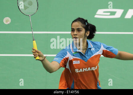 New Delhi. 21 Maggio, 2014. India di Saina Nehwal restituisce un colpo durante il singolare femminile match contro l'Indonesia Fanetri Lindaweni ai quarti di finale della Coppa Uber badminton campionato a Nuova Delhi il 21 maggio 2014. Saina Nehwal ha vinto 2-0. © Zheng Huansong/Xinhua/Alamy Live News Foto Stock