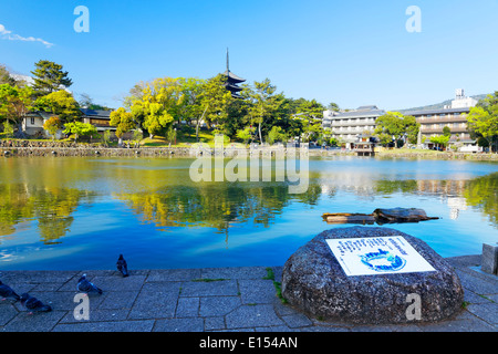 Nara, Giappone a Stagno di Sarusawa al giorno Foto Stock