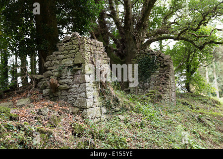 Casa in rovina nel villaggio abbandonato di Y Graig in Glangrwyne nel bosco sulle pendici della montagna Sugar Loaf, Wales, Regno Unito Foto Stock
