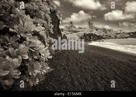 Pa'iloa spiaggia di sabbia nera al Wai'anapanapa stato parco lungo il tragitto. Maui, Hawaii Foto Stock